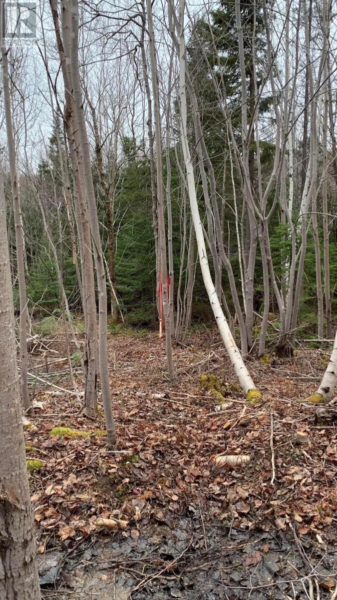 Lot 24-2 Little Harbour Road, Frasers Mountain, Nova Scotia  B2H 3T5 - Photo 10 - 202500342