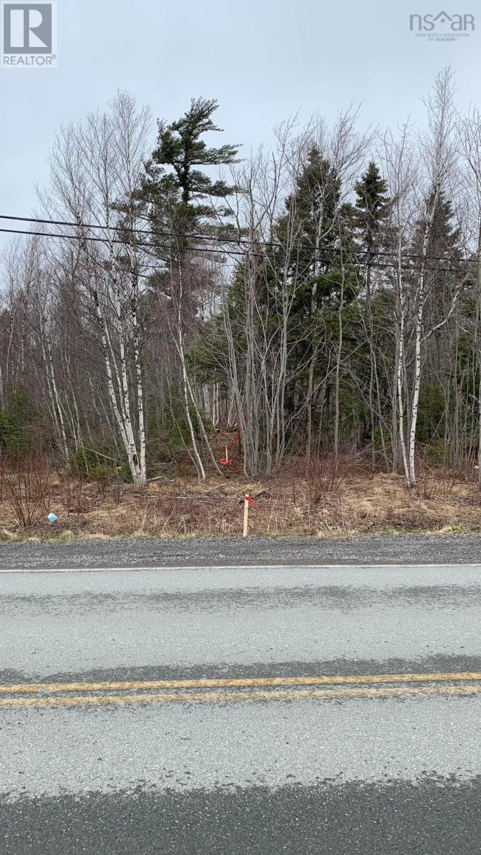 Lot 24-2 Little Harbour Road, Frasers Mountain, Nova Scotia  B2H 3T5 - Photo 13 - 202500342