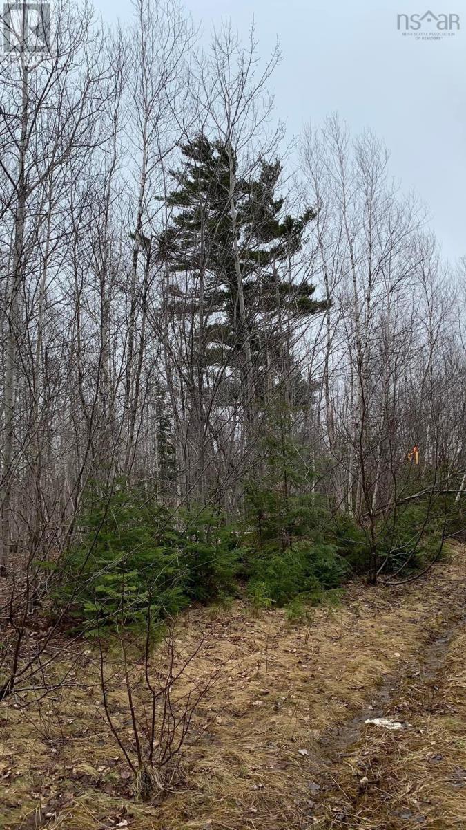 Lot 24-2 Little Harbour Road, Frasers Mountain, Nova Scotia  B2H 3T5 - Photo 2 - 202500342