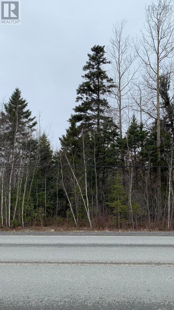 Lot 24-2 Little Harbour Road, Frasers Mountain, Nova Scotia  B2H 3T5 - Photo 3 - 202500342