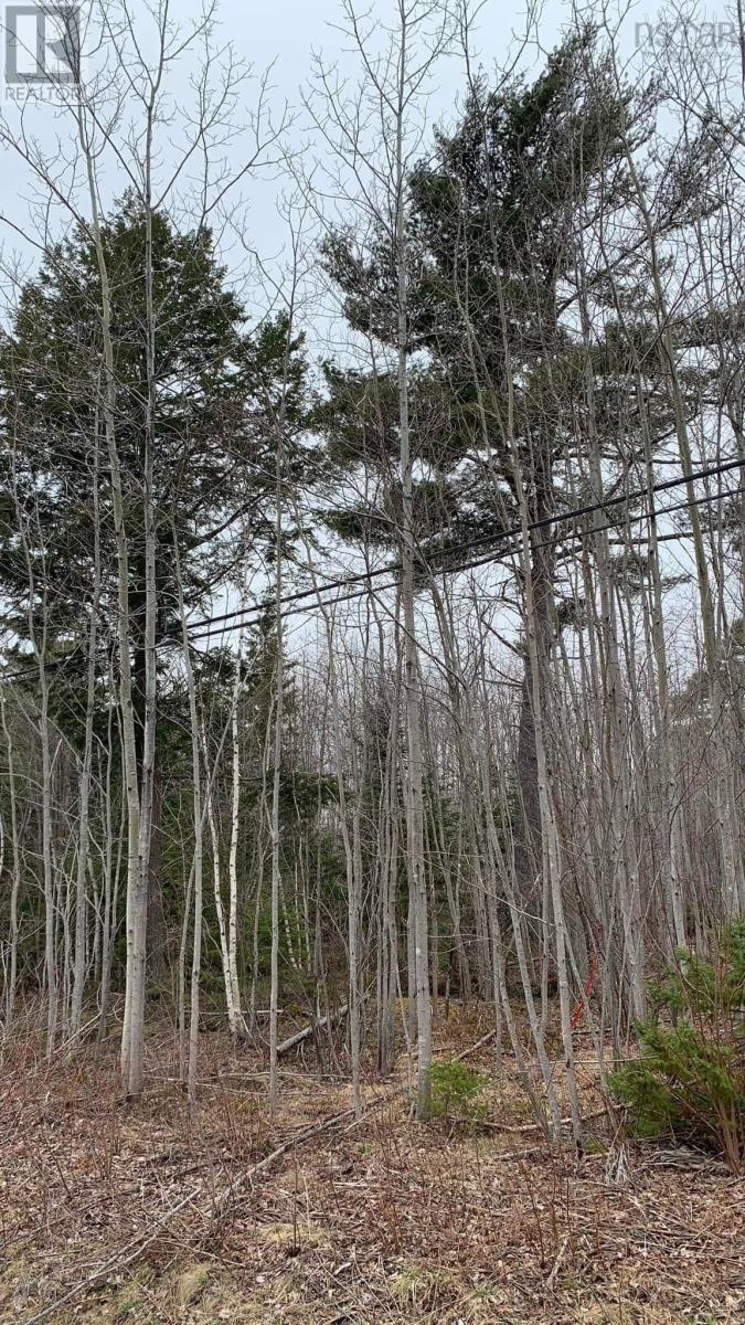 Lot 24-2 Little Harbour Road, Frasers Mountain, Nova Scotia  B2H 3T5 - Photo 5 - 202500342