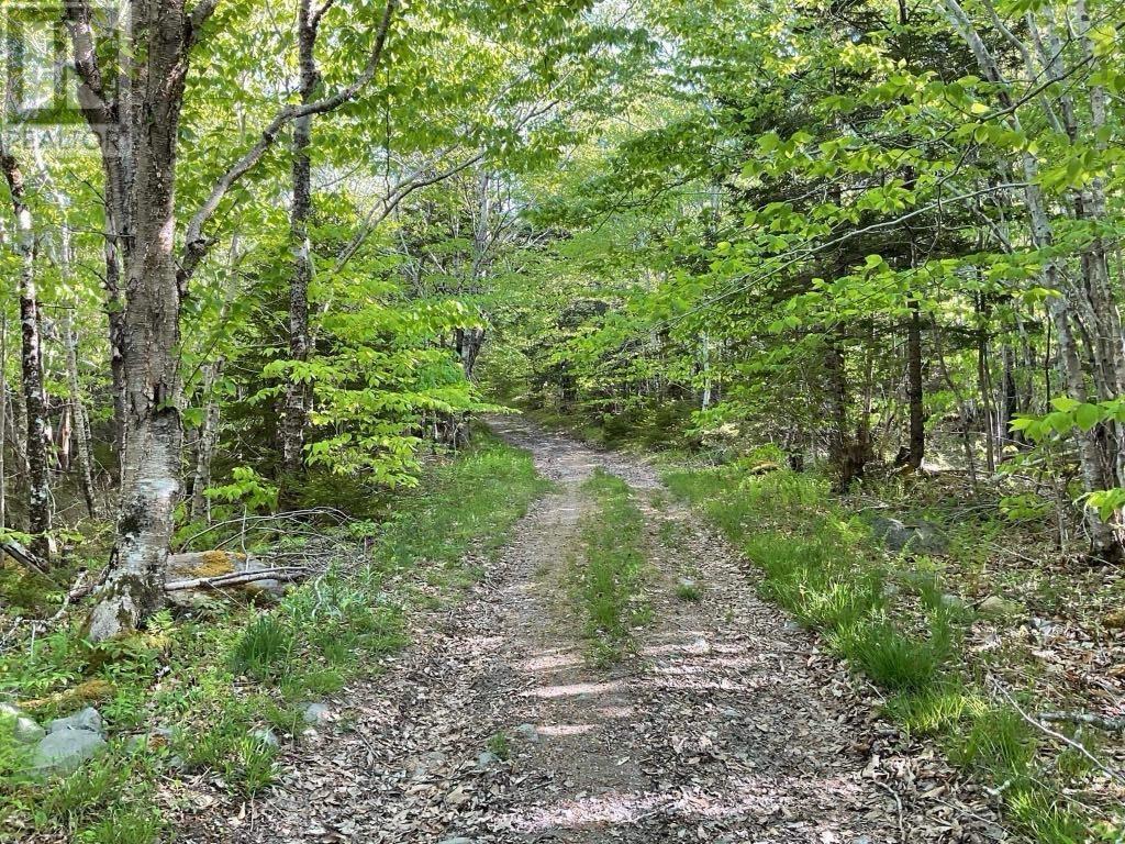 Lot Highway 308, Morris Island, Morris Island, Nova Scotia  B0W 3M0 - Photo 7 - 202500345