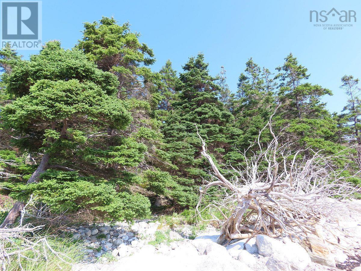 Lot 6 316 Hwy (Grovers Point), Cole Harbour, Nova Scotia  B0H 1T0 - Photo 14 - 202500356