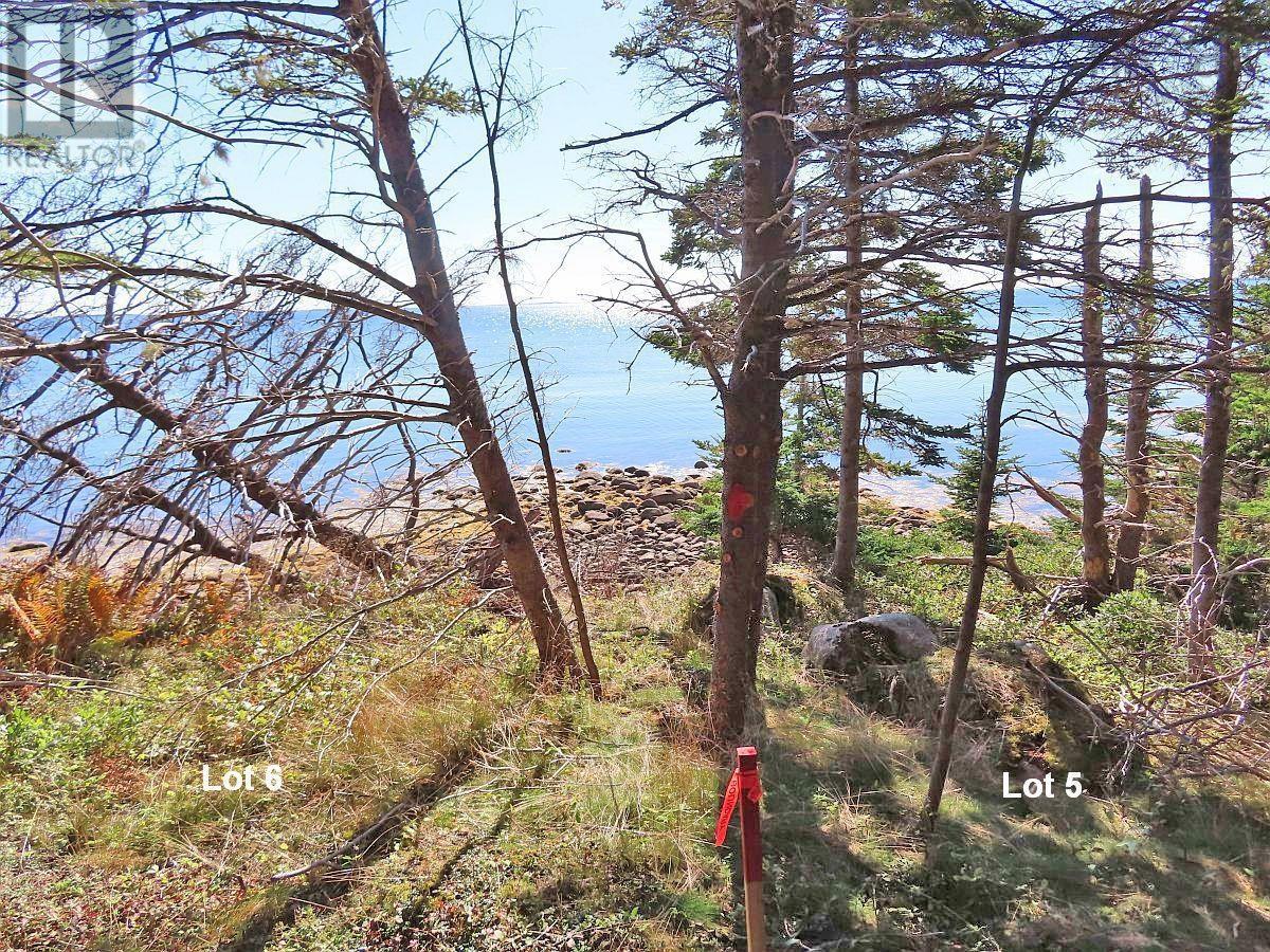 Lot 6 316 Hwy (Grovers Point), Cole Harbour, Nova Scotia  B0H 1T0 - Photo 17 - 202500356