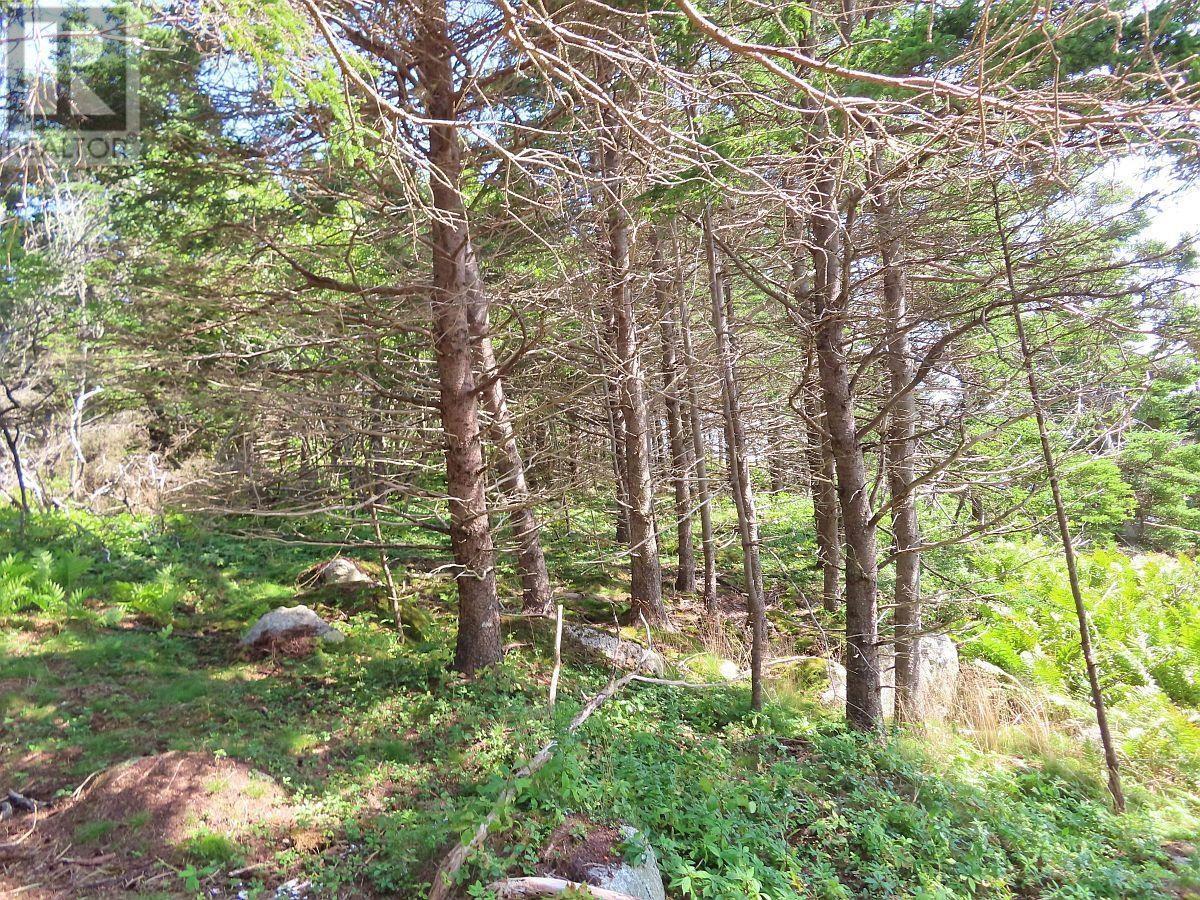 Lot 6 316 Hwy (Grovers Point), Cole Harbour, Nova Scotia  B0H 1T0 - Photo 18 - 202500356