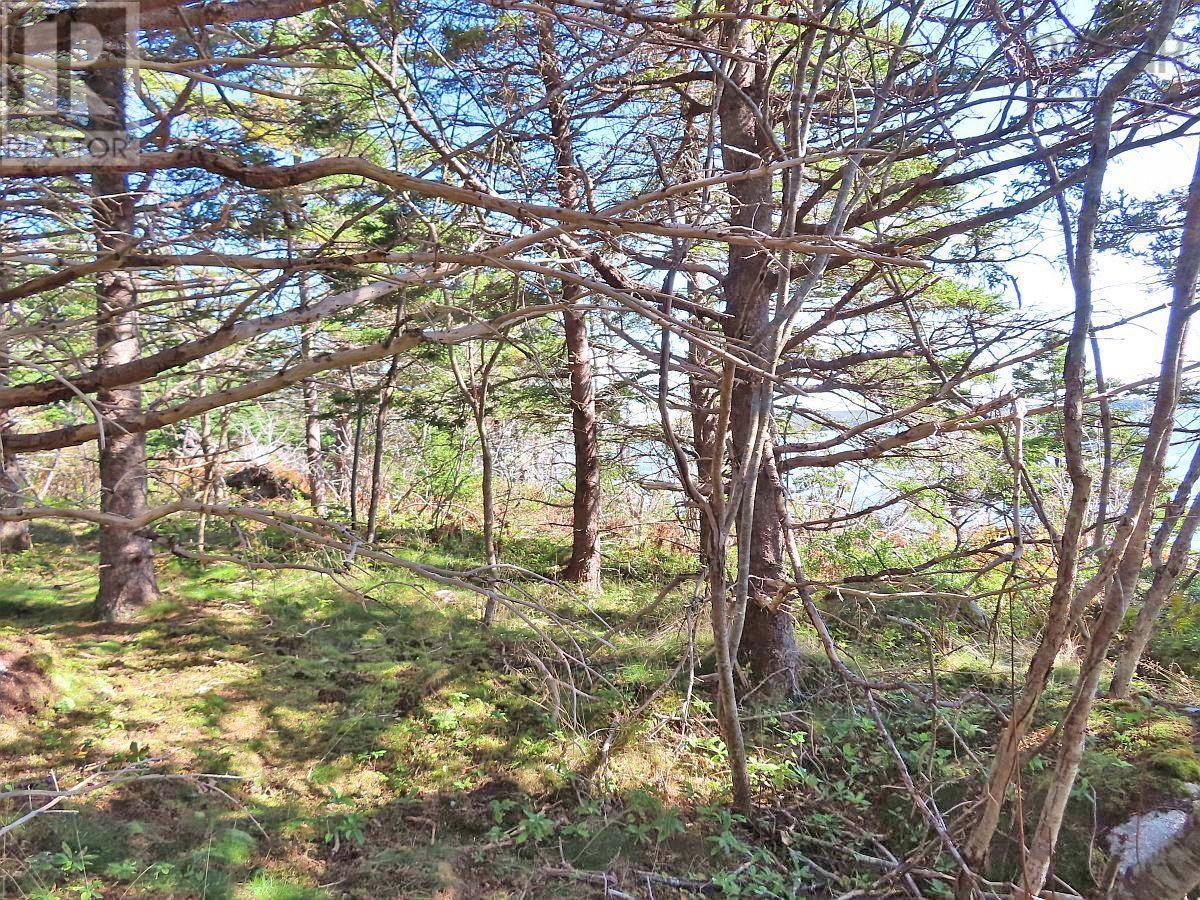 Lot 6 316 Hwy (Grovers Point), Cole Harbour, Nova Scotia  B0H 1T0 - Photo 19 - 202500356