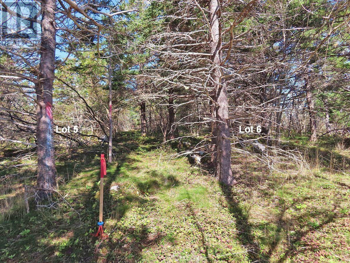 Lot 6 316 Hwy (Grovers Point), Cole Harbour, Nova Scotia  B0H 1T0 - Photo 20 - 202500356