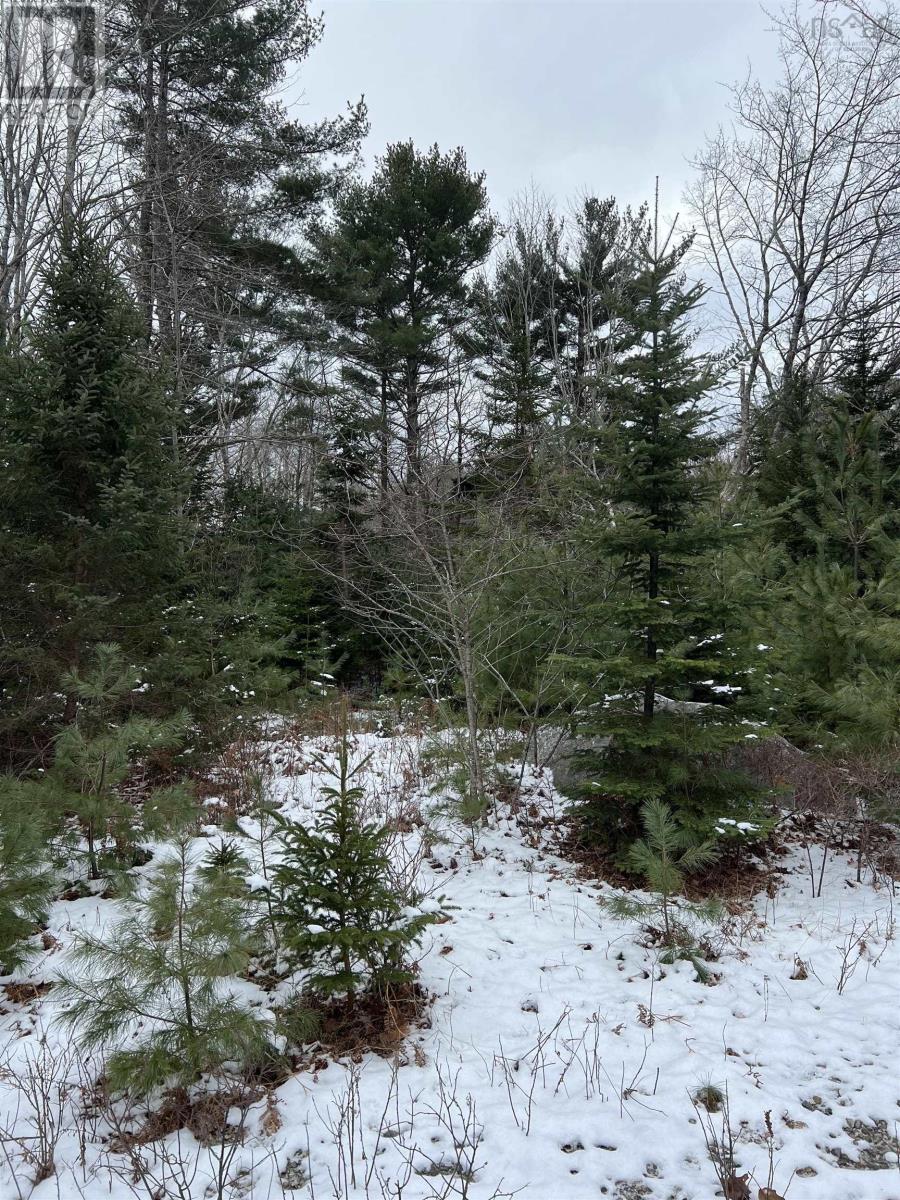 Lot 2 Carleton Street, Shelburne, Nova Scotia  B0T 1W0 - Photo 3 - 202500431