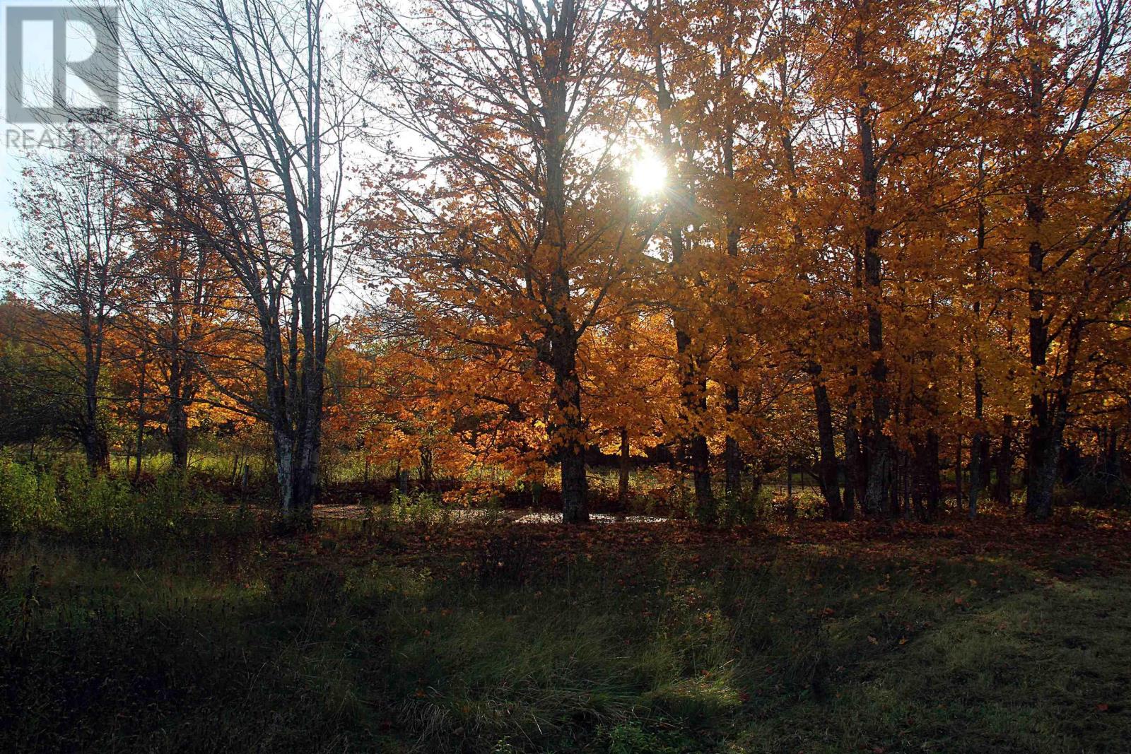 Lot East River West Side Road, glencoe, Nova Scotia