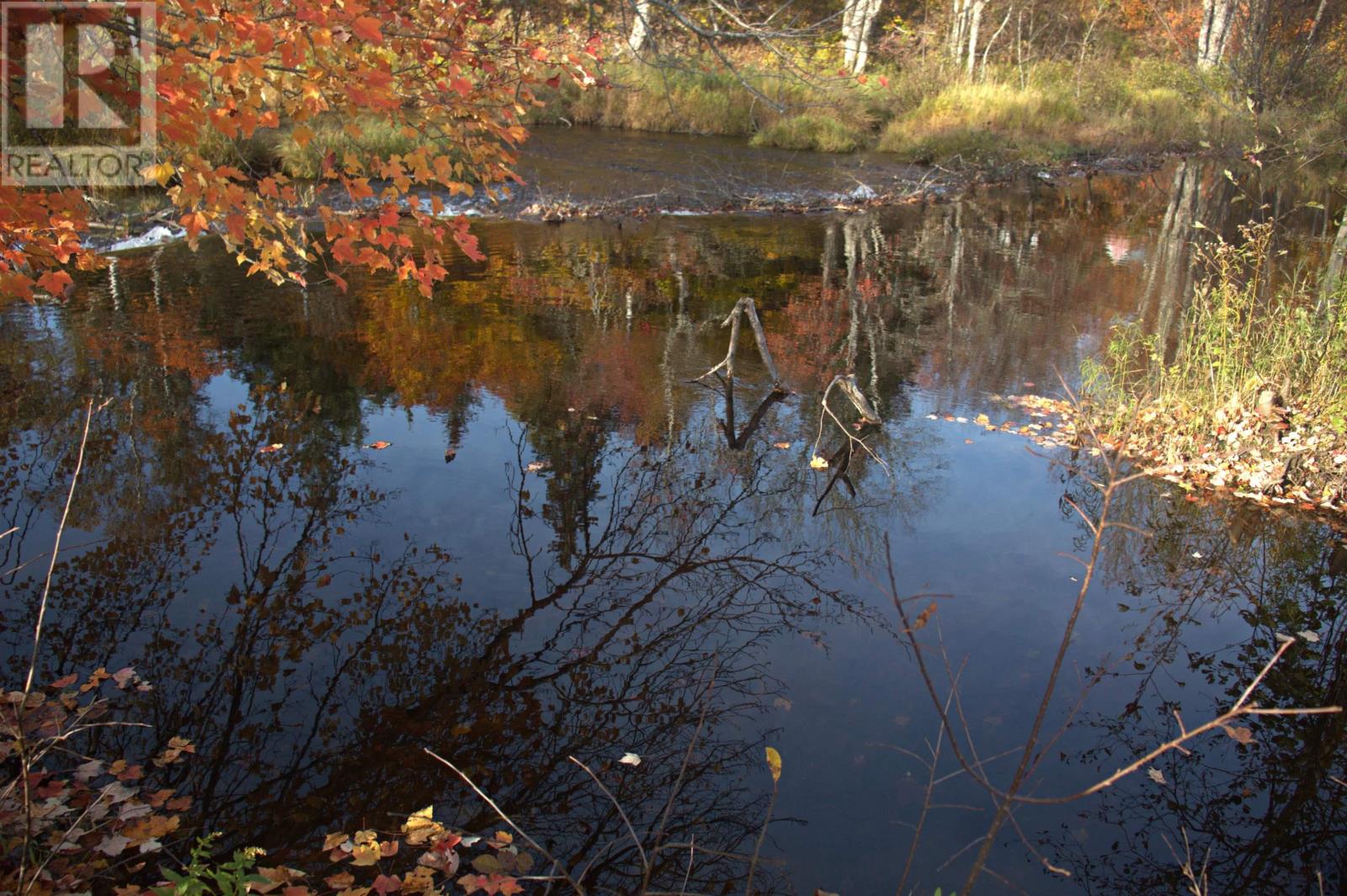 Lot East River West Side Road, Glencoe, Nova Scotia  B0K 1B0 - Photo 2 - 202500487