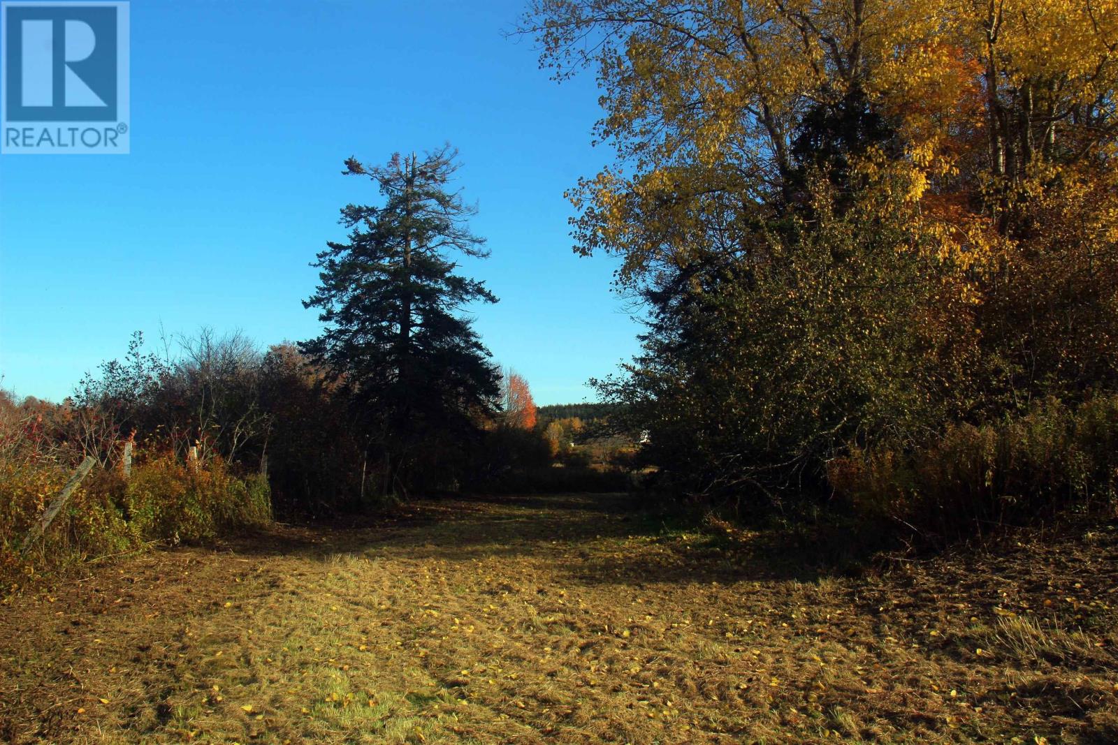 Lot East River West Side Road, Glencoe, Nova Scotia  B0K 1B0 - Photo 3 - 202500487