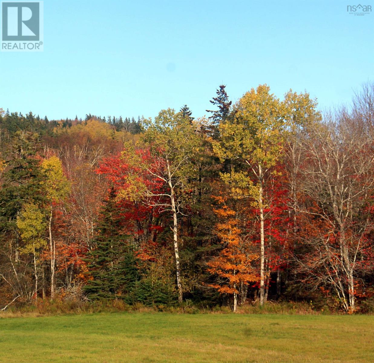 Lot East River West Side Road, Glencoe, Nova Scotia  B0K 1B0 - Photo 4 - 202500487