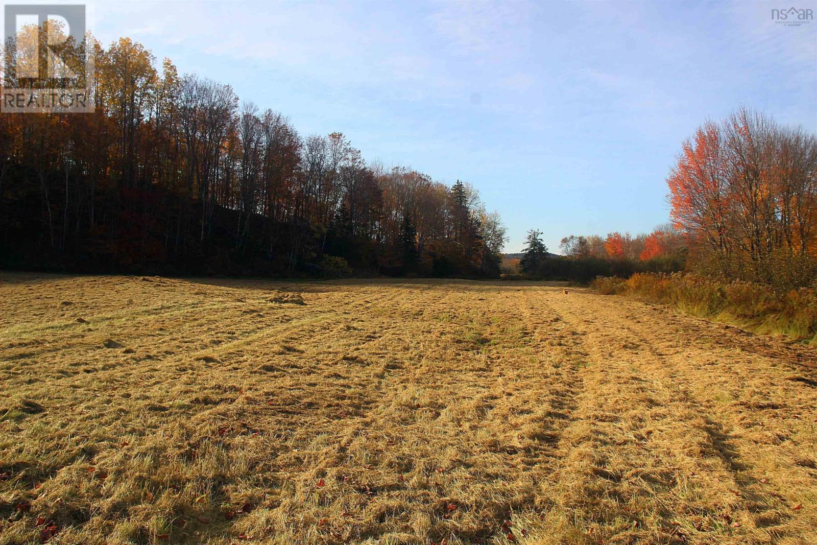 Lot East River West Side Road, Glencoe, Nova Scotia  B0K 1B0 - Photo 8 - 202500487