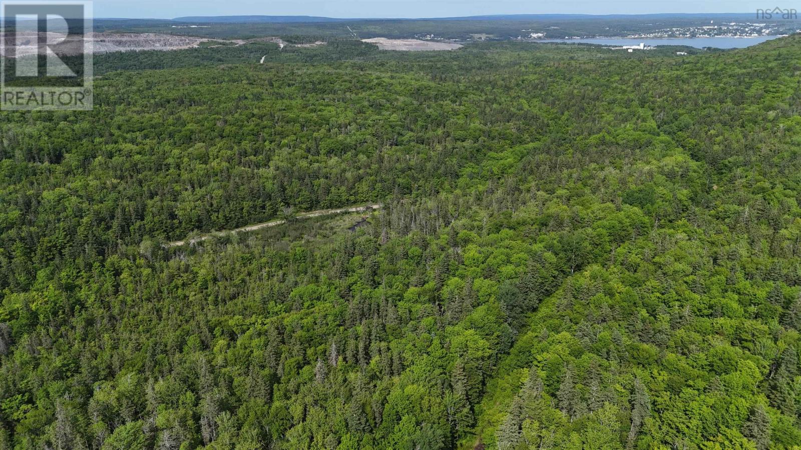 Highway 344, Mulgrave, Nova Scotia  B0E 2G0 - Photo 16 - 202500563