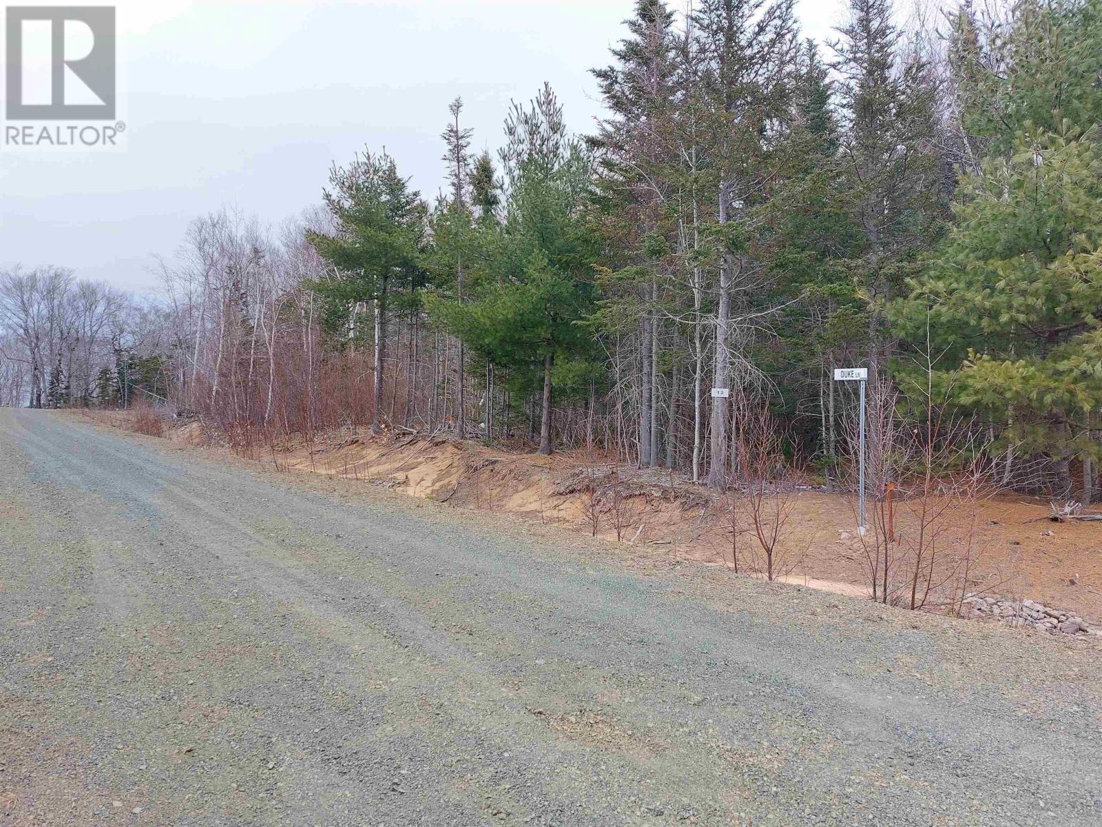 Lot 11 Duke Lane, Malagawatch, Nova Scotia  B0E 2Y0 - Photo 10 - 202500605