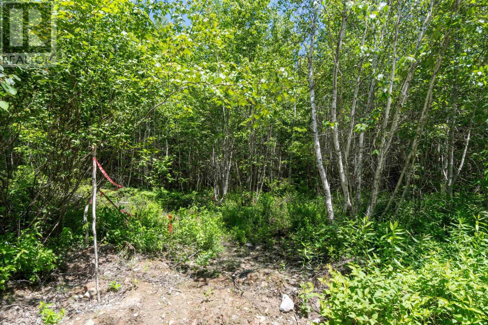 Lot 13 Old Renfrew Road, Upper Rawdon, Nova Scotia  B0N 2N0 - Photo 12 - 202500618