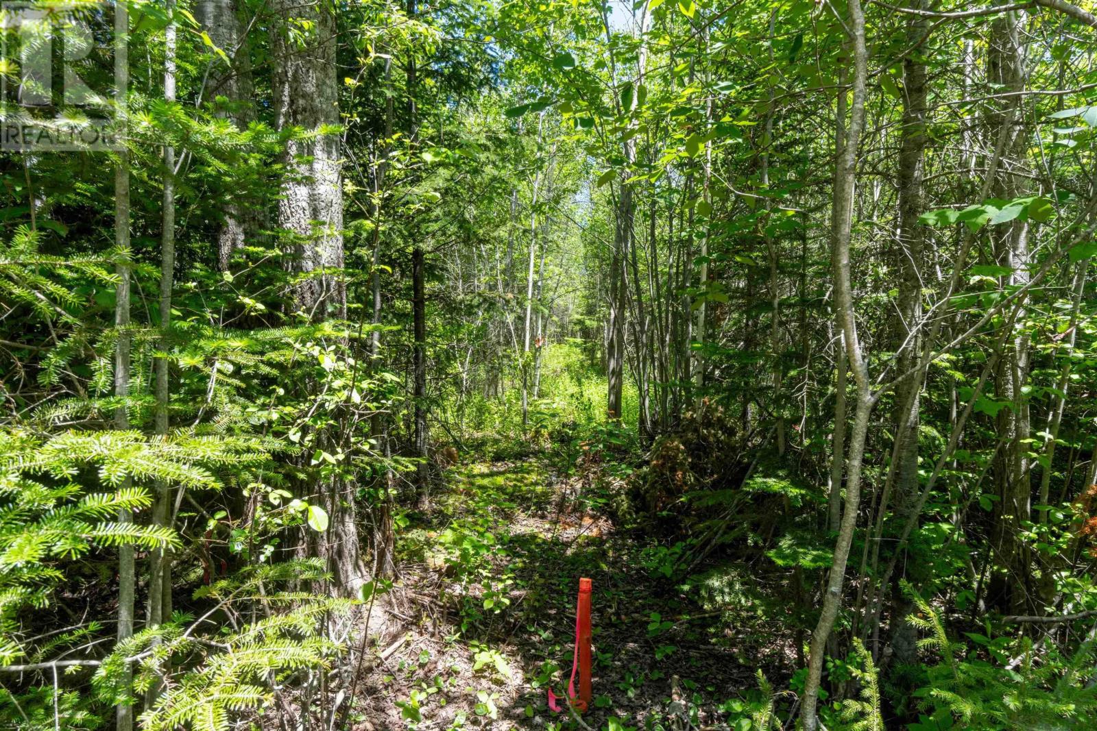 Lot 13 Old Renfrew Road, Upper Rawdon, Nova Scotia  B0N 2N0 - Photo 13 - 202500618