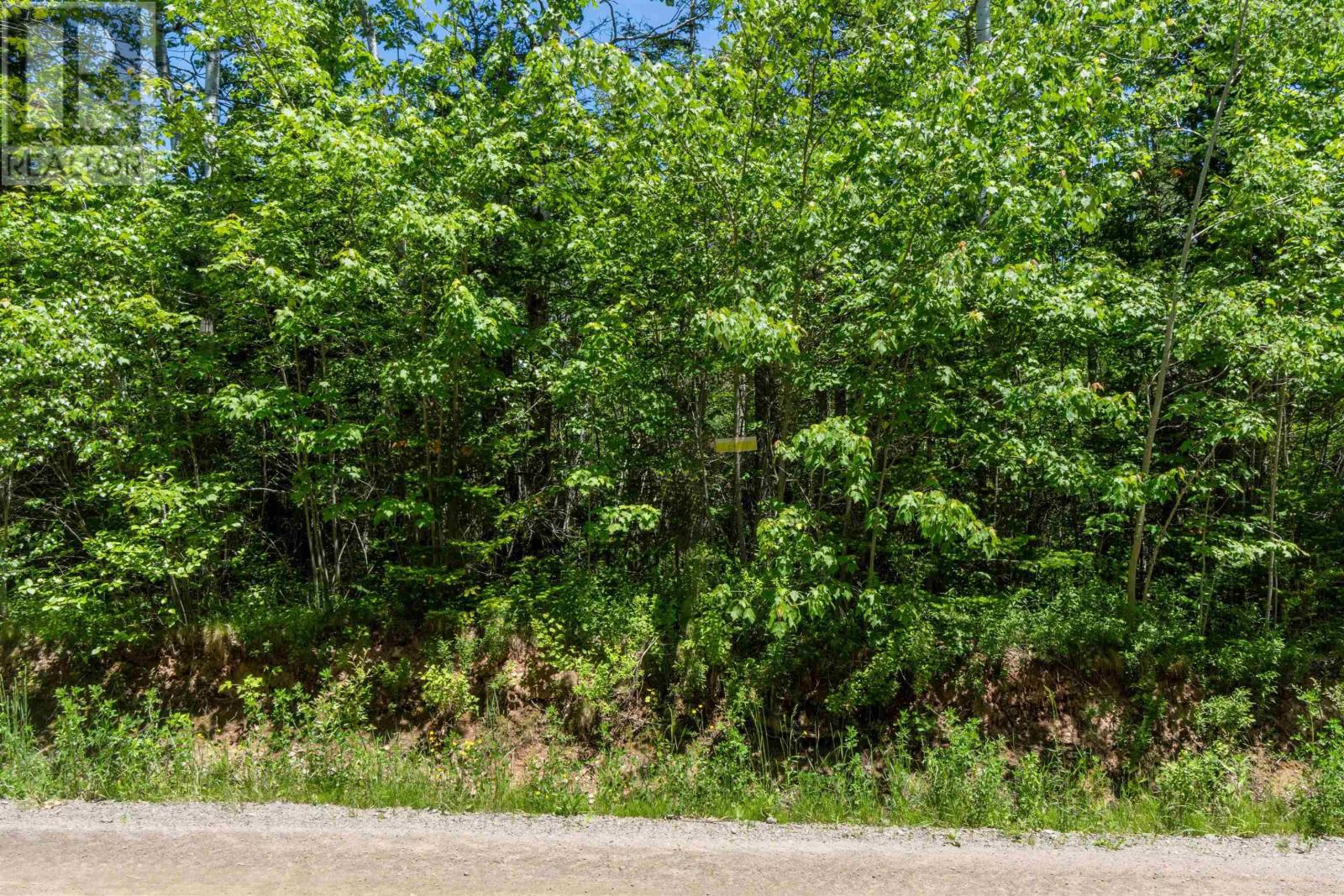 Lot 13 Old Renfrew Road, Upper Rawdon, Nova Scotia  B0N 2N0 - Photo 14 - 202500618