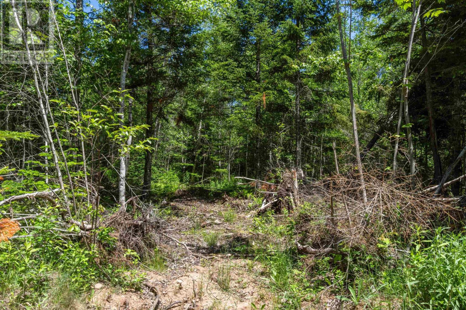 Lot 13 Old Renfrew Road, Upper Rawdon, Nova Scotia  B0N 2N0 - Photo 16 - 202500618