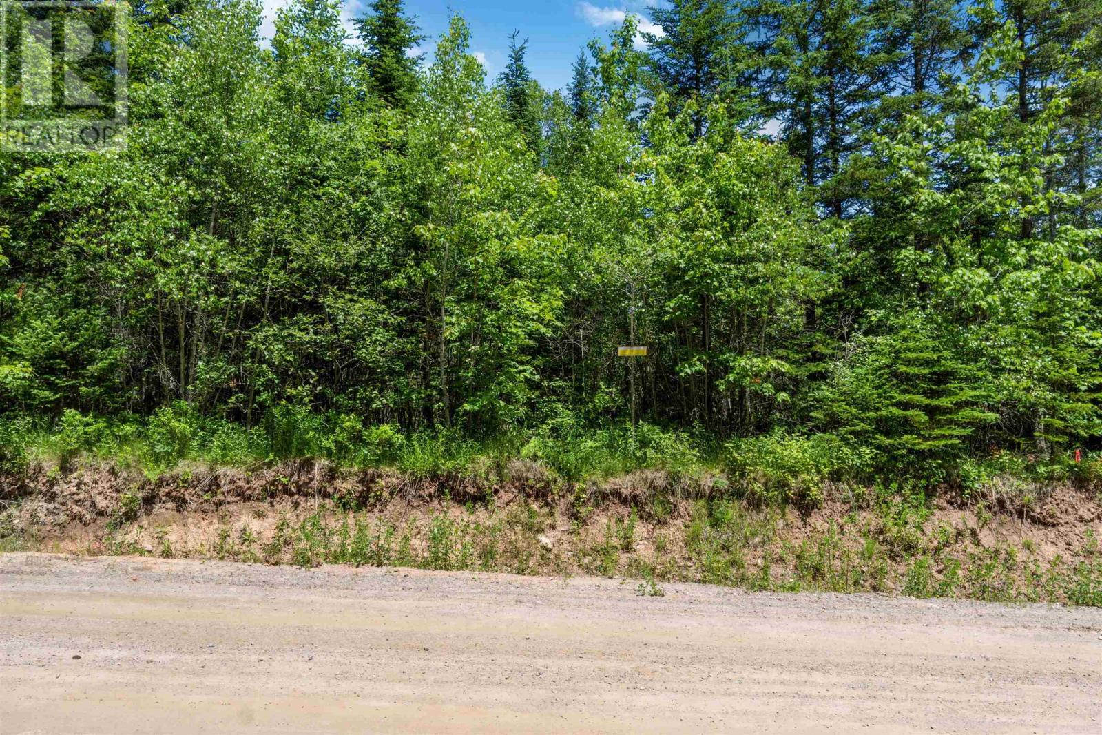 Lot 13 Old Renfrew Road, Upper Rawdon, Nova Scotia  B0N 2N0 - Photo 17 - 202500618