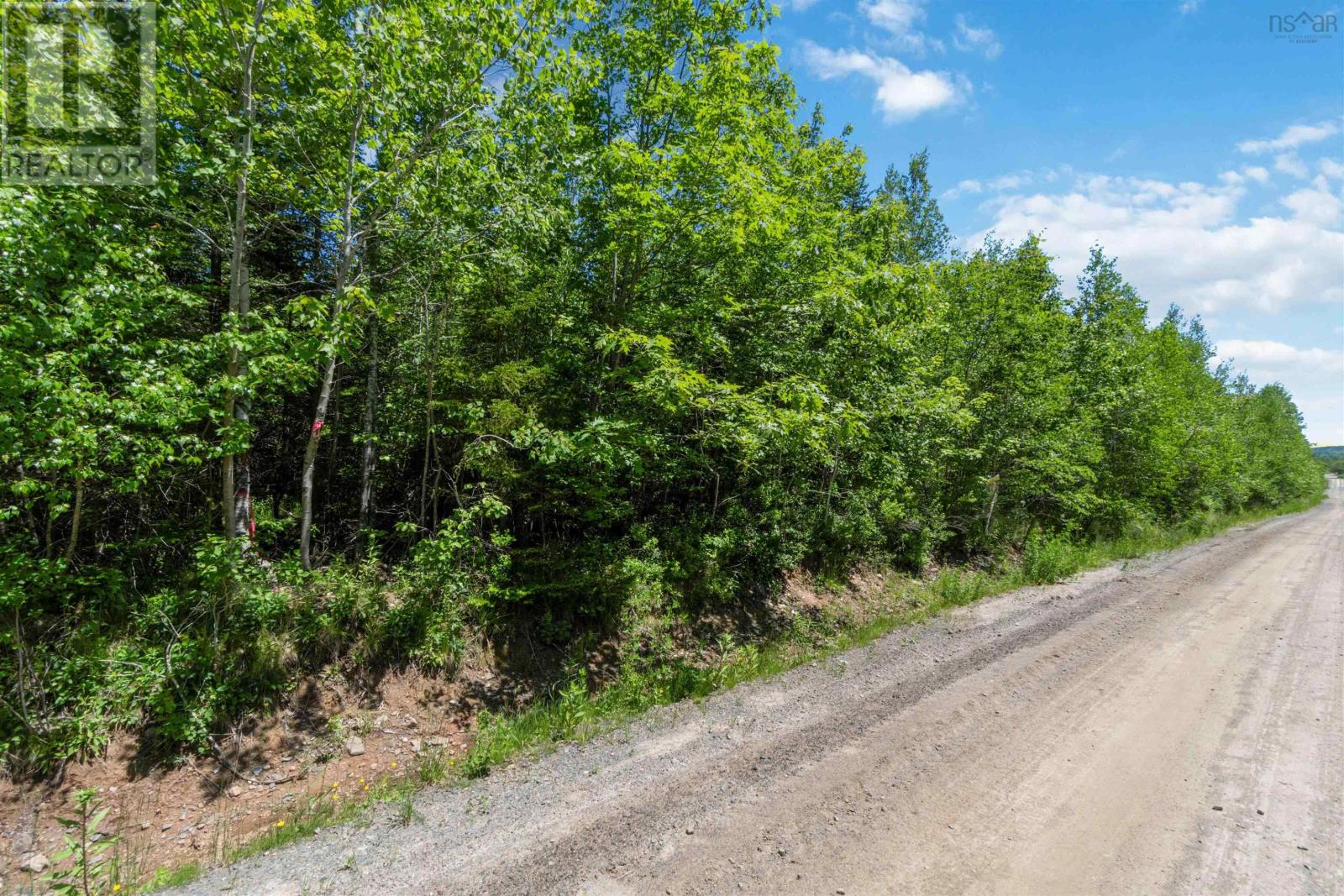 Lot 13 Old Renfrew Road, Upper Rawdon, Nova Scotia  B0N 2N0 - Photo 18 - 202500618