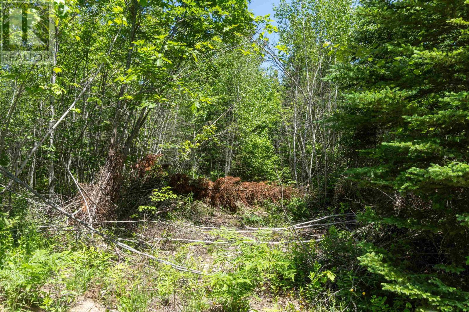 Lot 14 Old Renfrew Road, Upper Rawdon, Nova Scotia  B0N 2N0 - Photo 11 - 202500619