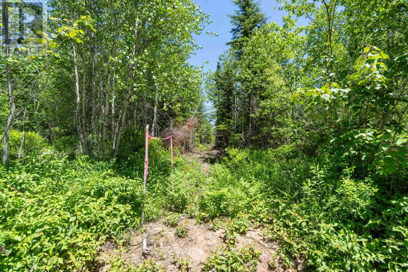 Lot 15 Old Renfrew Road, Upper Rawdon, Nova Scotia  B0N 2N0 - Photo 16 - 202500625