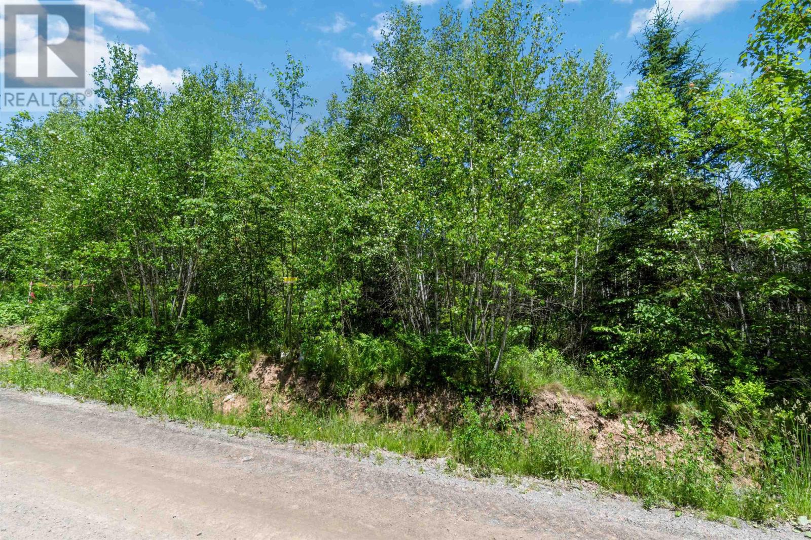 Lot 15 Old Renfrew Road, Upper Rawdon, Nova Scotia  B0N 2N0 - Photo 17 - 202500625