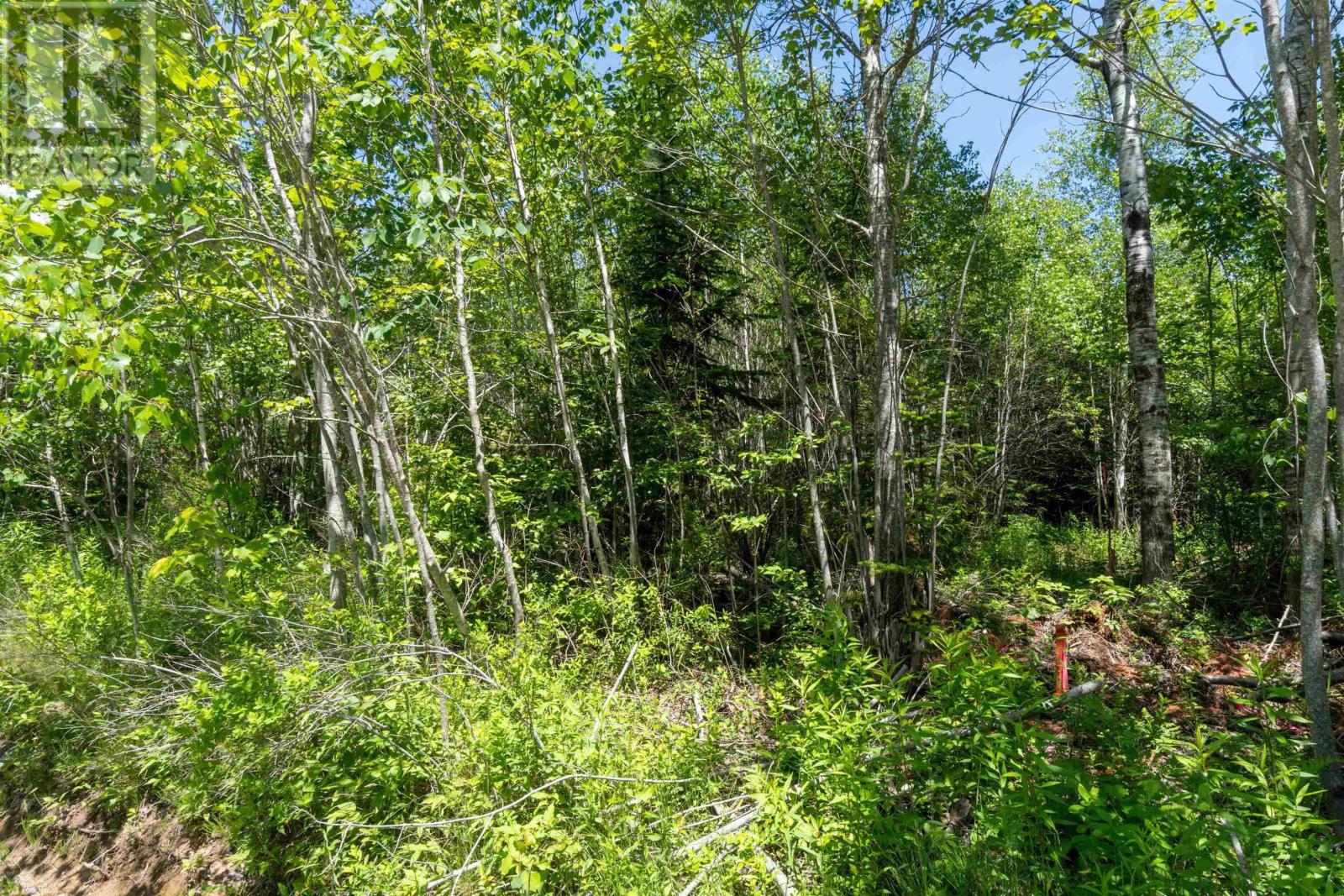 Lot 15 Old Renfrew Road, Upper Rawdon, Nova Scotia  B0N 2N0 - Photo 18 - 202500625