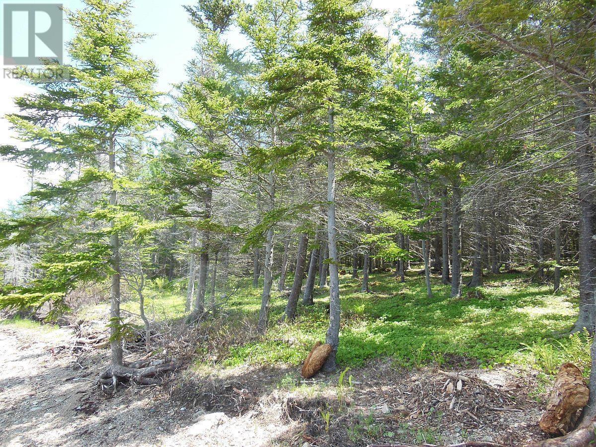 Lot 20 Mackenzie Point Road, West Bay, Nova Scotia  B0E 3K0 - Photo 14 - 202500659