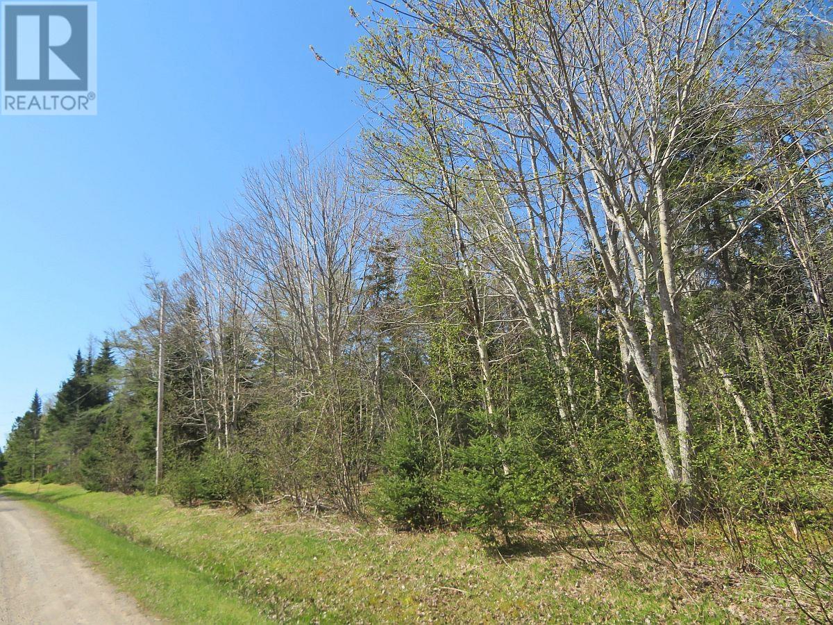 Lot 20 Mackenzie Point Road, West Bay, Nova Scotia  B0E 3K0 - Photo 16 - 202500659