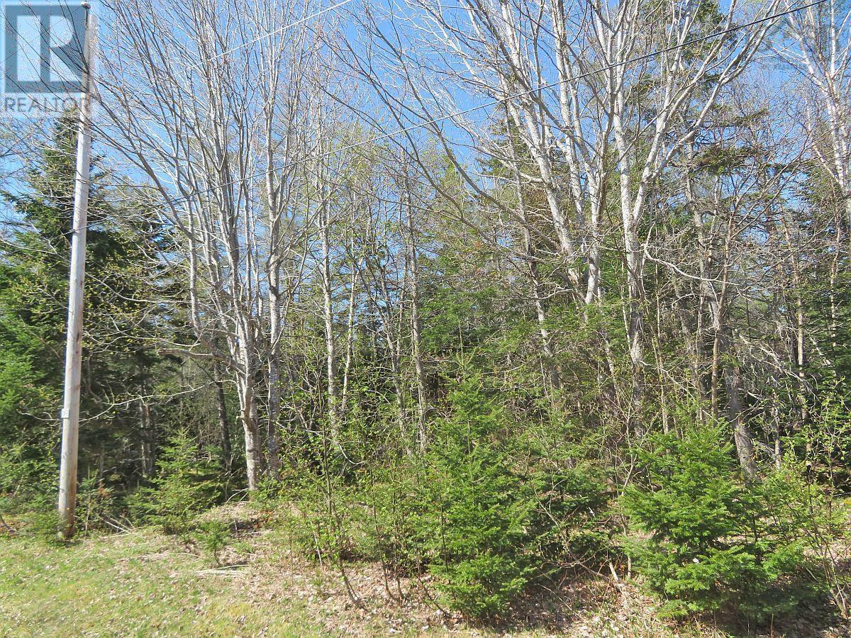 Lot 20 Mackenzie Point Road, West Bay, Nova Scotia  B0E 3K0 - Photo 17 - 202500659