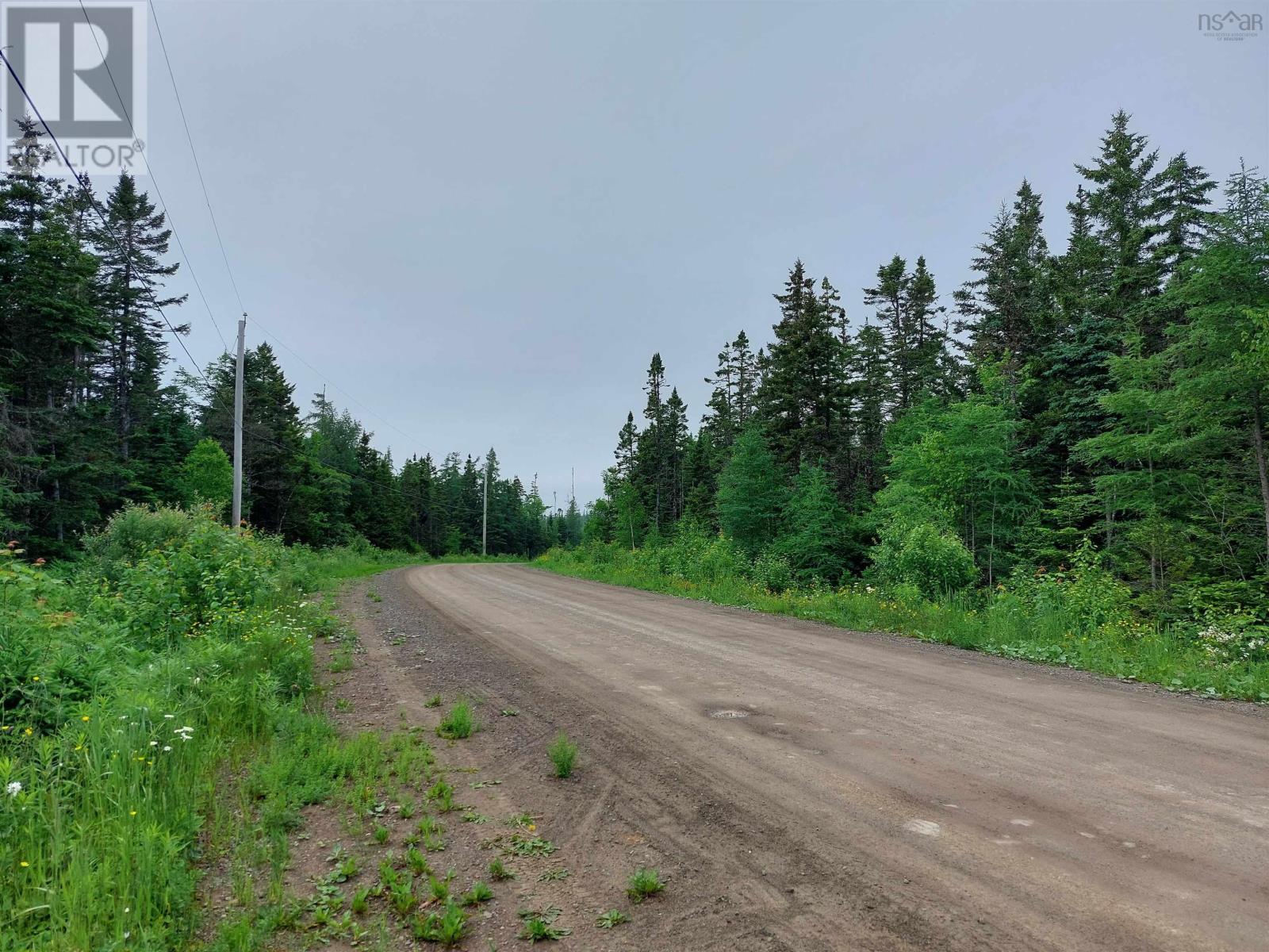 Lot 15 Walkerville Rd.,, Walkerville, Nova Scotia  B0E 1J0 - Photo 7 - 202500665