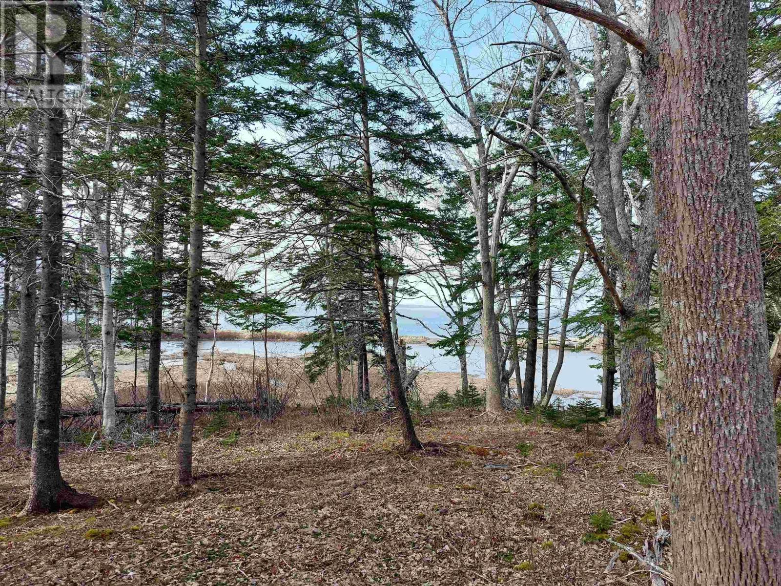 Lot 6 Macleods Pond Rd., Roberta, Nova Scotia  B0E 3K0 - Photo 6 - 202500721