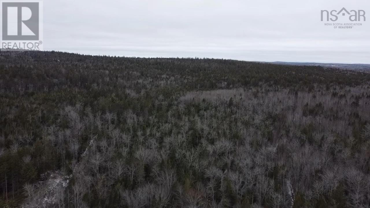 Lot Fletchers Lake, Wellington, Nova Scotia  B2T 1A2 - Photo 5 - 202500860