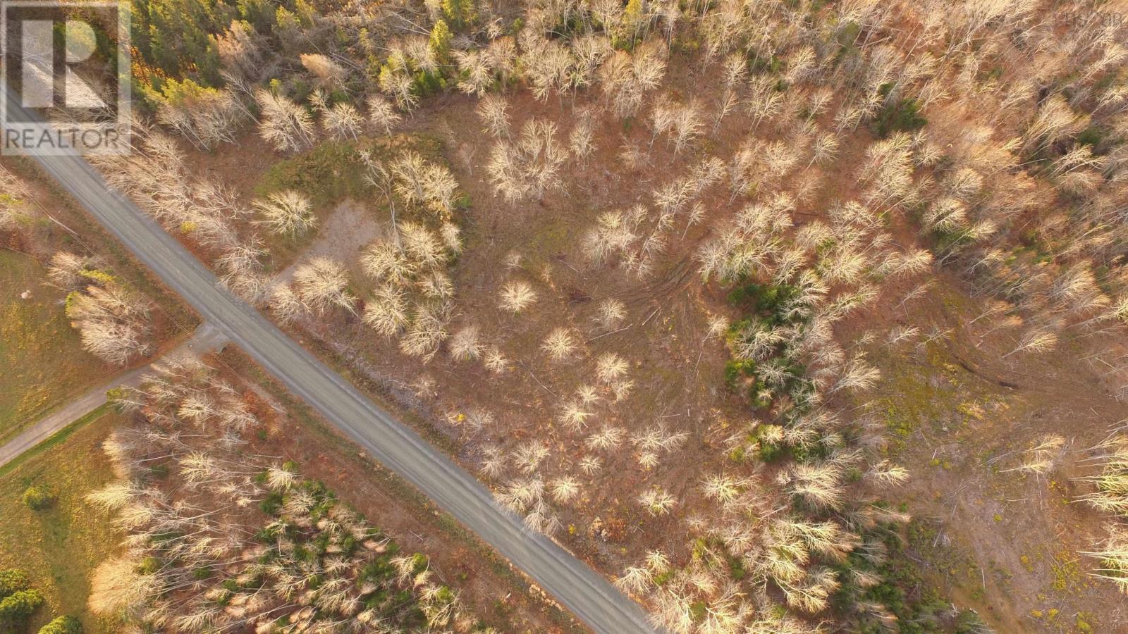 Brookland Road, Brookland, Nova Scotia  B0K 1P0 - Photo 12 - 202500942