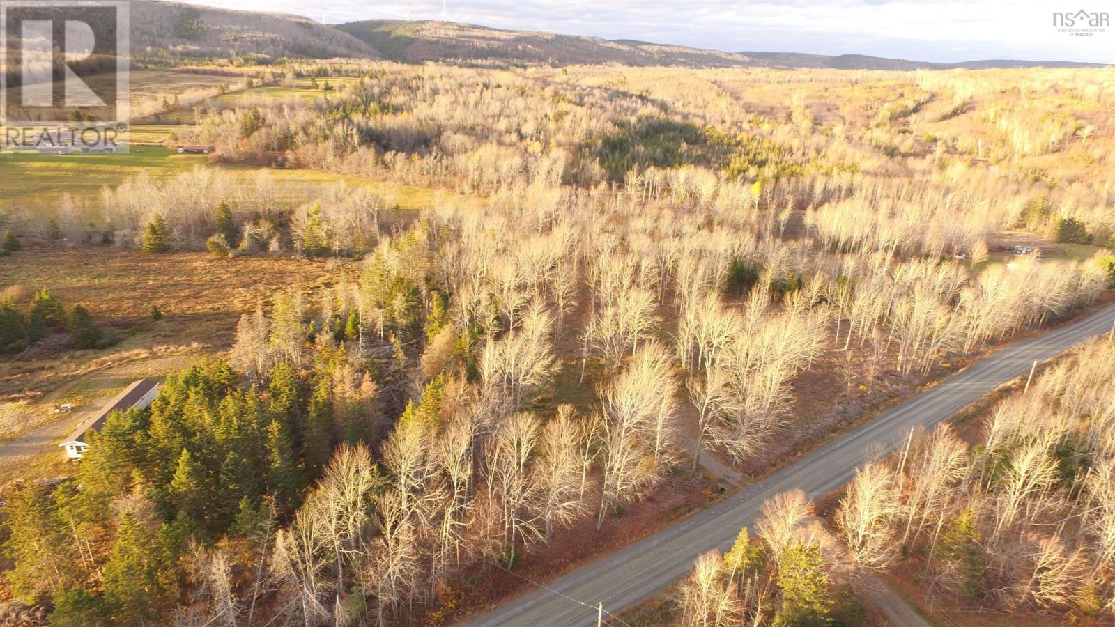 Brookland Road, Brookland, Nova Scotia  B0K 1P0 - Photo 3 - 202500942