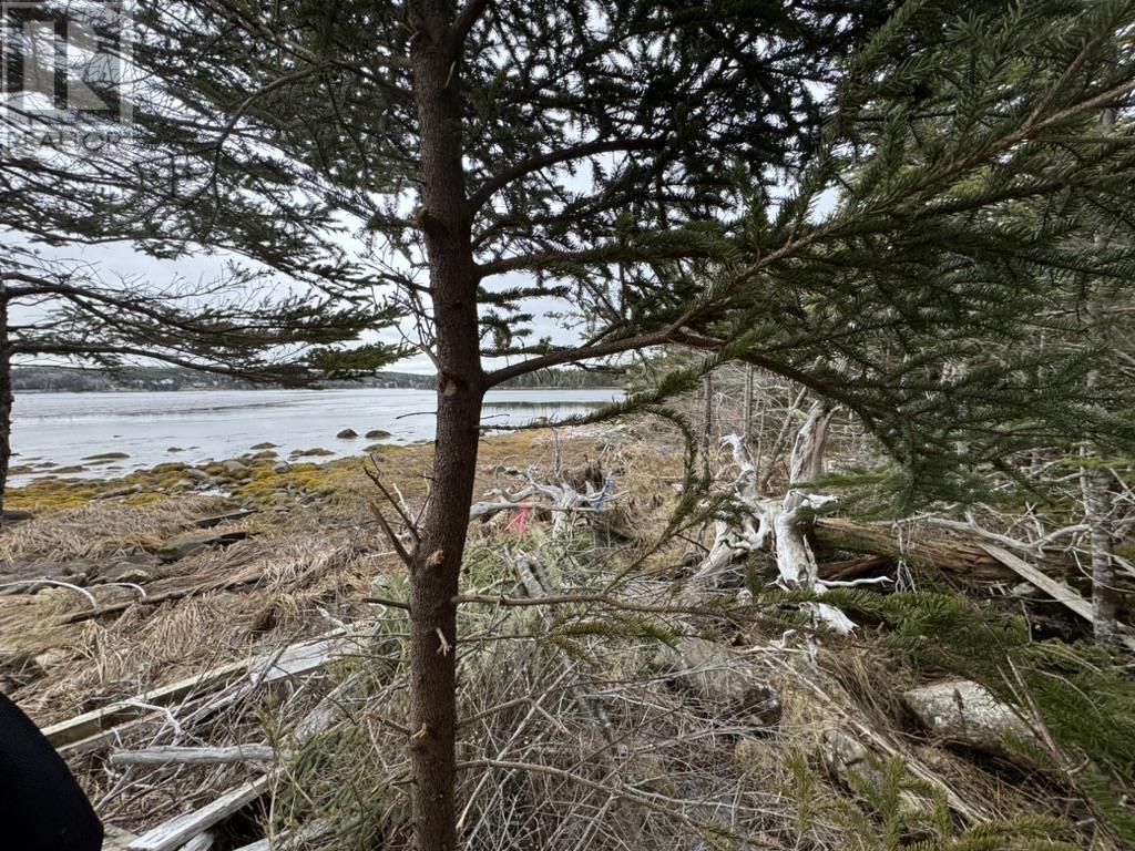 Lot 4-C West Petpeswick Road, Musquodoboit Harbour, Nova Scotia  B0J 2L0 - Photo 1 - 202501088