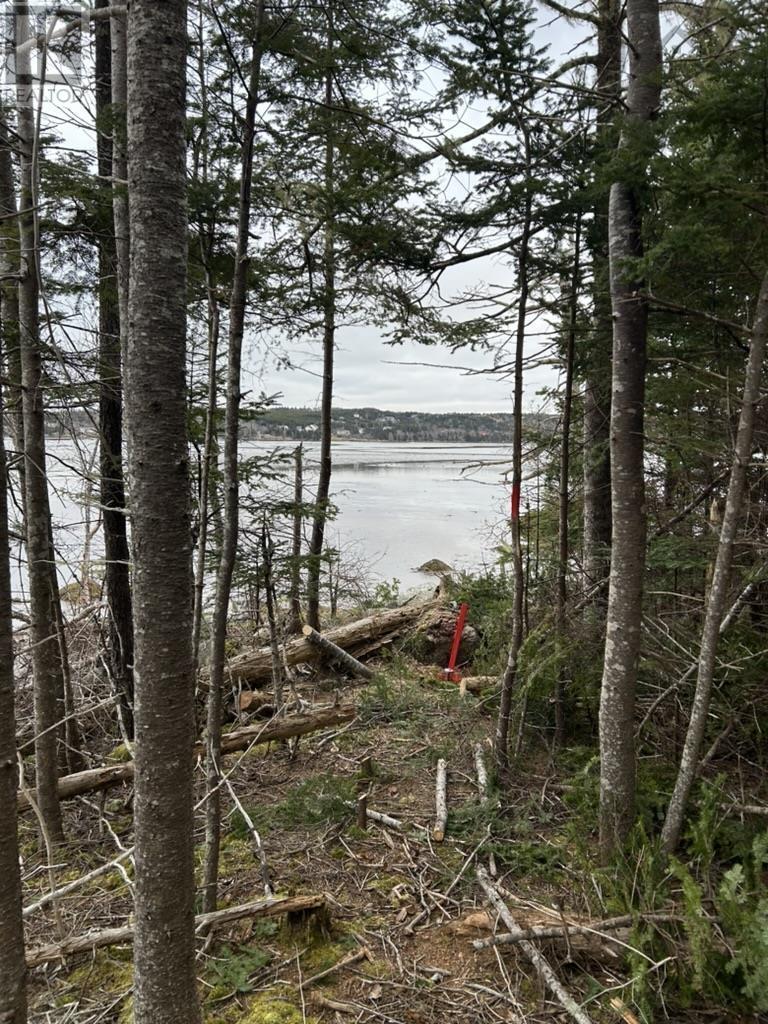 Lot 4-C West Petpeswick Road, Musquodoboit Harbour, Nova Scotia  B0J 2L0 - Photo 10 - 202501088