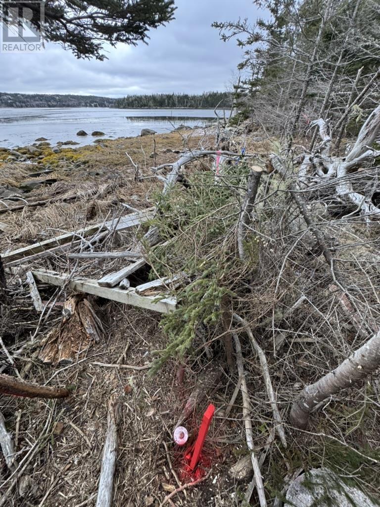 Lot 4-C West Petpeswick Road, Musquodoboit Harbour, Nova Scotia  B0J 2L0 - Photo 5 - 202501088