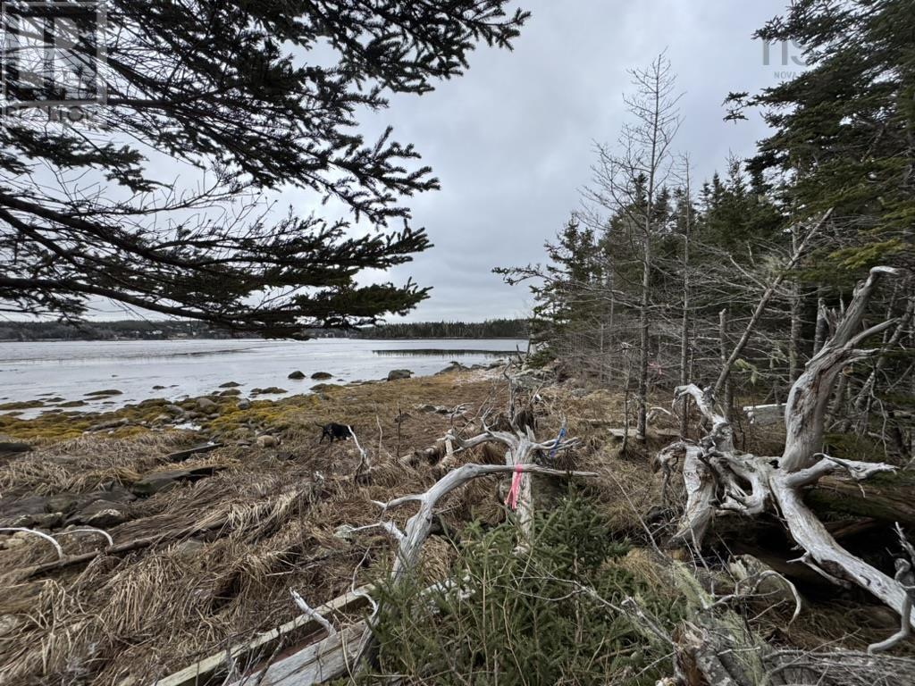 Lot 4-C West Petpeswick Road, Musquodoboit Harbour, Nova Scotia  B0J 2L0 - Photo 7 - 202501088