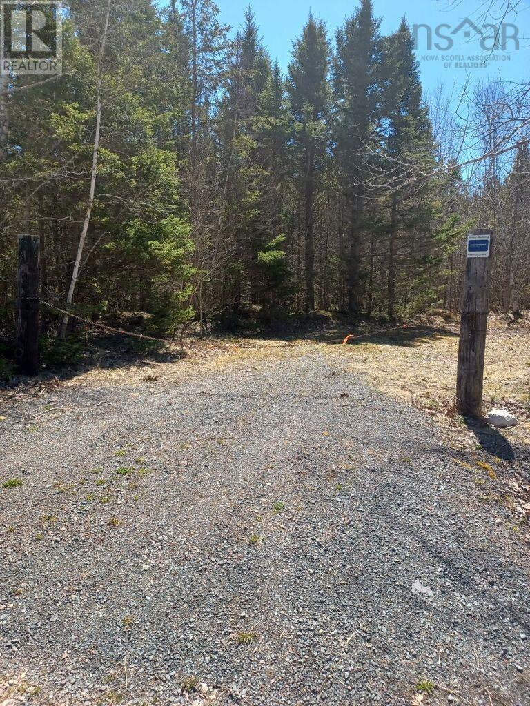 Lot Heathbell Road, Scotch Hill, Nova Scotia  B0K 1R0 - Photo 6 - 202501166