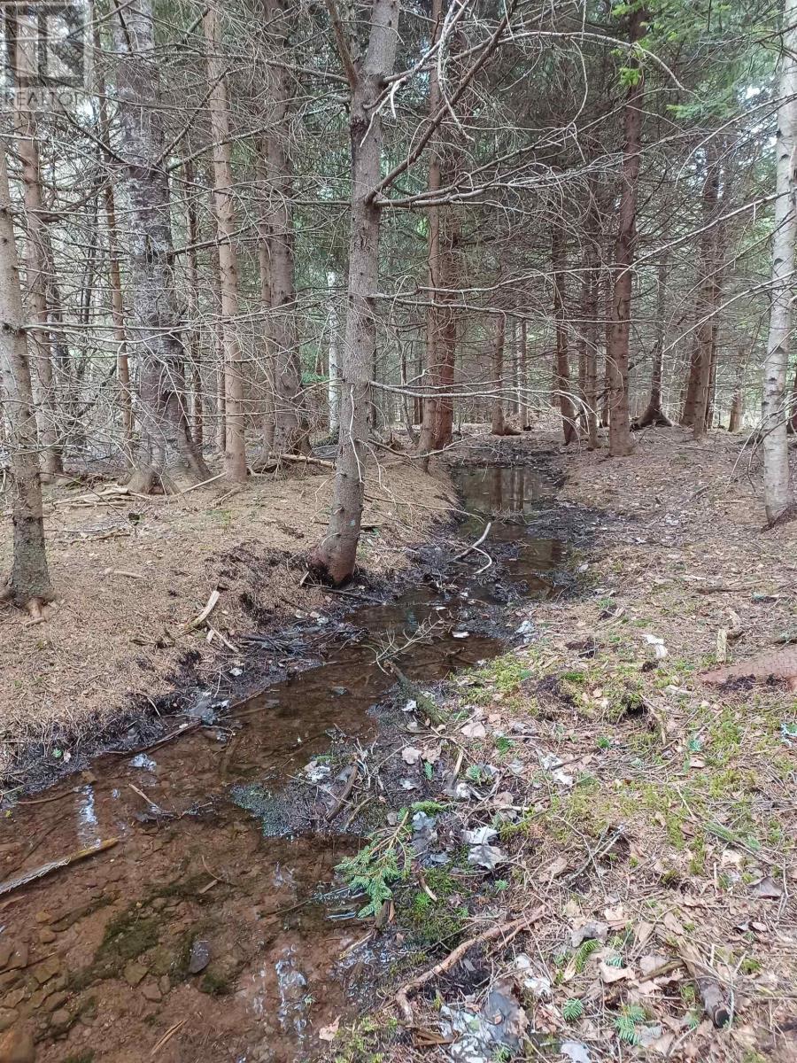 Lot Heathbell Road, Scotch Hill, Nova Scotia  B0K 1R0 - Photo 7 - 202501166