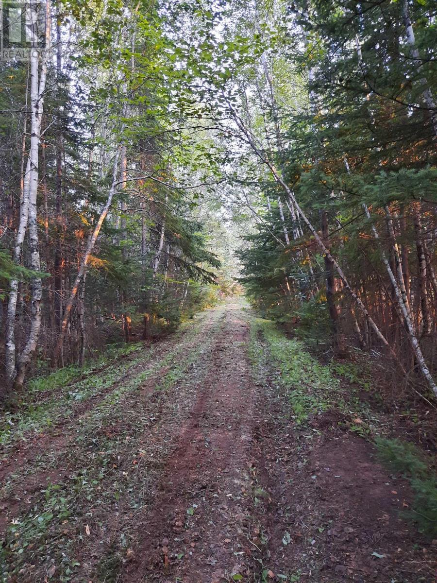 Lot Heathbell Road, Scotch Hill, Nova Scotia  B0K 1R0 - Photo 9 - 202501166