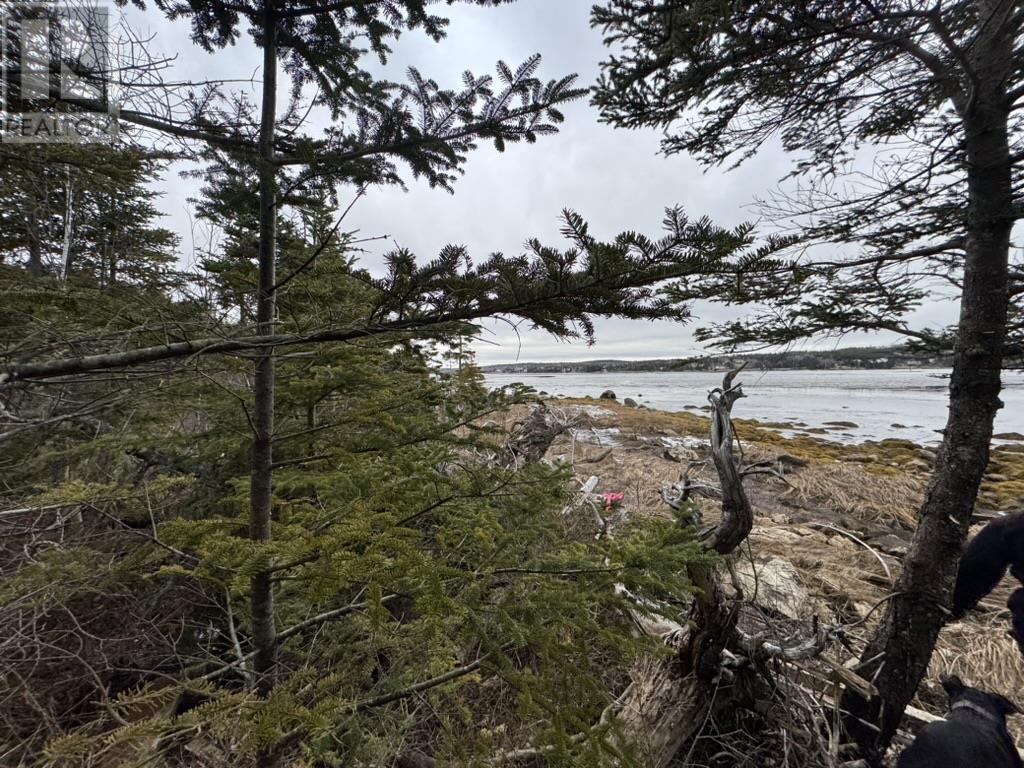 Lot 4-B West Petpeswick Road, Musquodoboit Harbour, Nova Scotia  B0J 2L0 - Photo 6 - 202501174