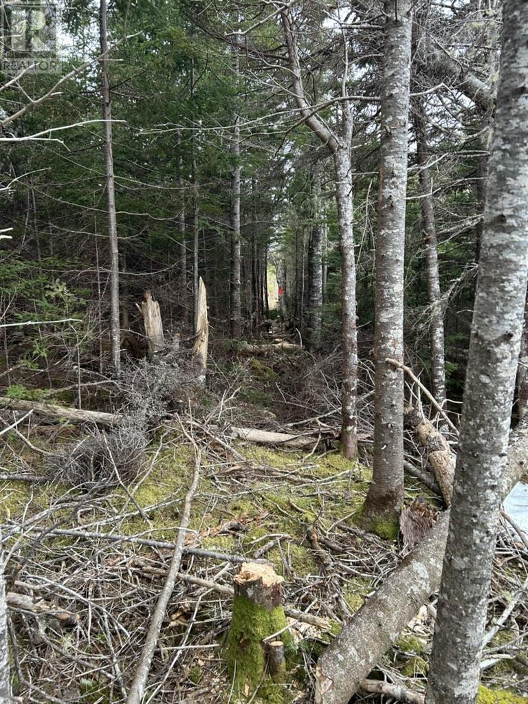 Lot 4-D West Petpeswick Road, Musquodoboit Harbour, Nova Scotia  B0J 2L0 - Photo 7 - 202501175