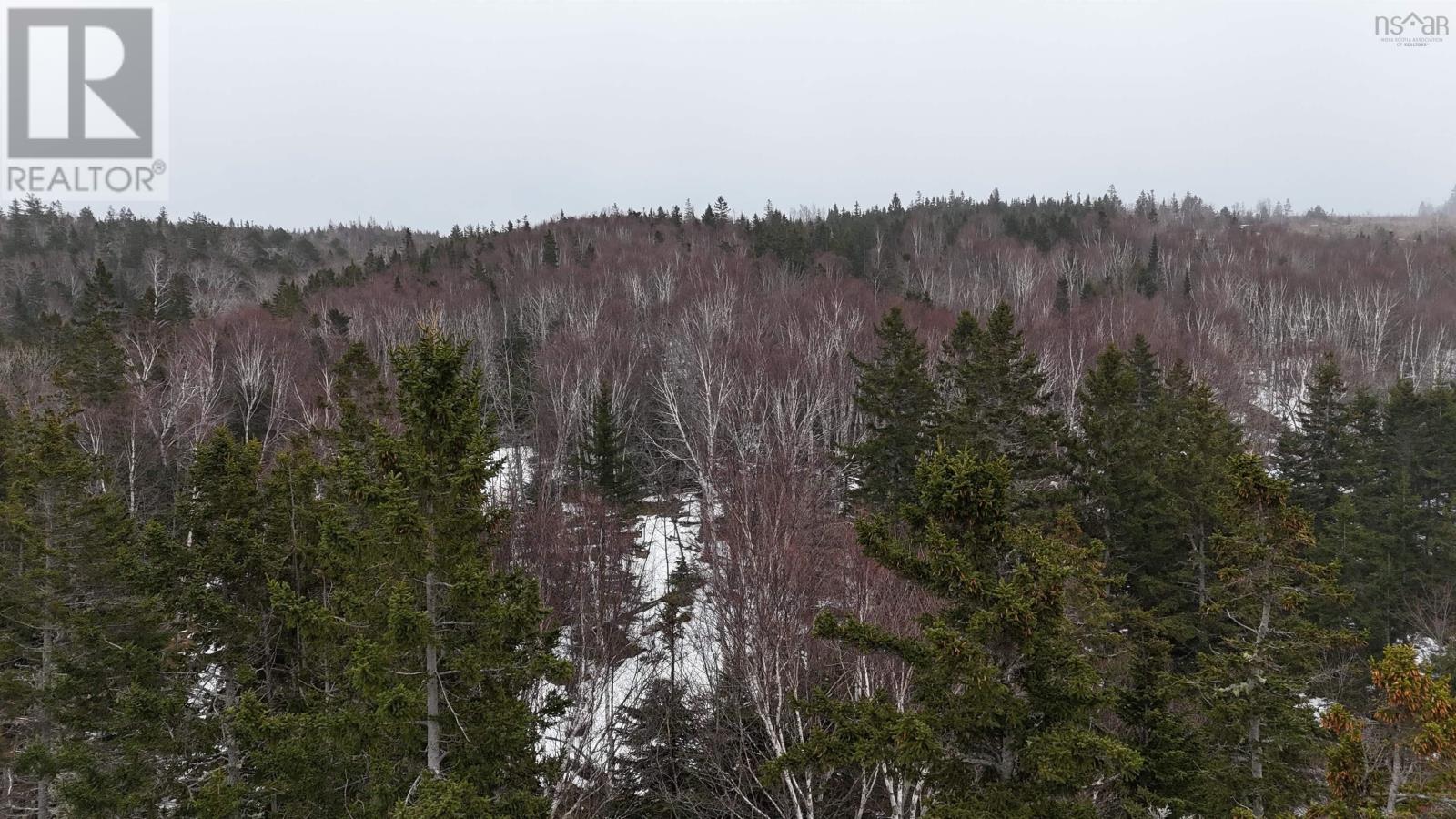 29+acres West Bay Highway, St. Georges Channel, Nova Scotia  B0E 3K0 - Photo 19 - 202501274