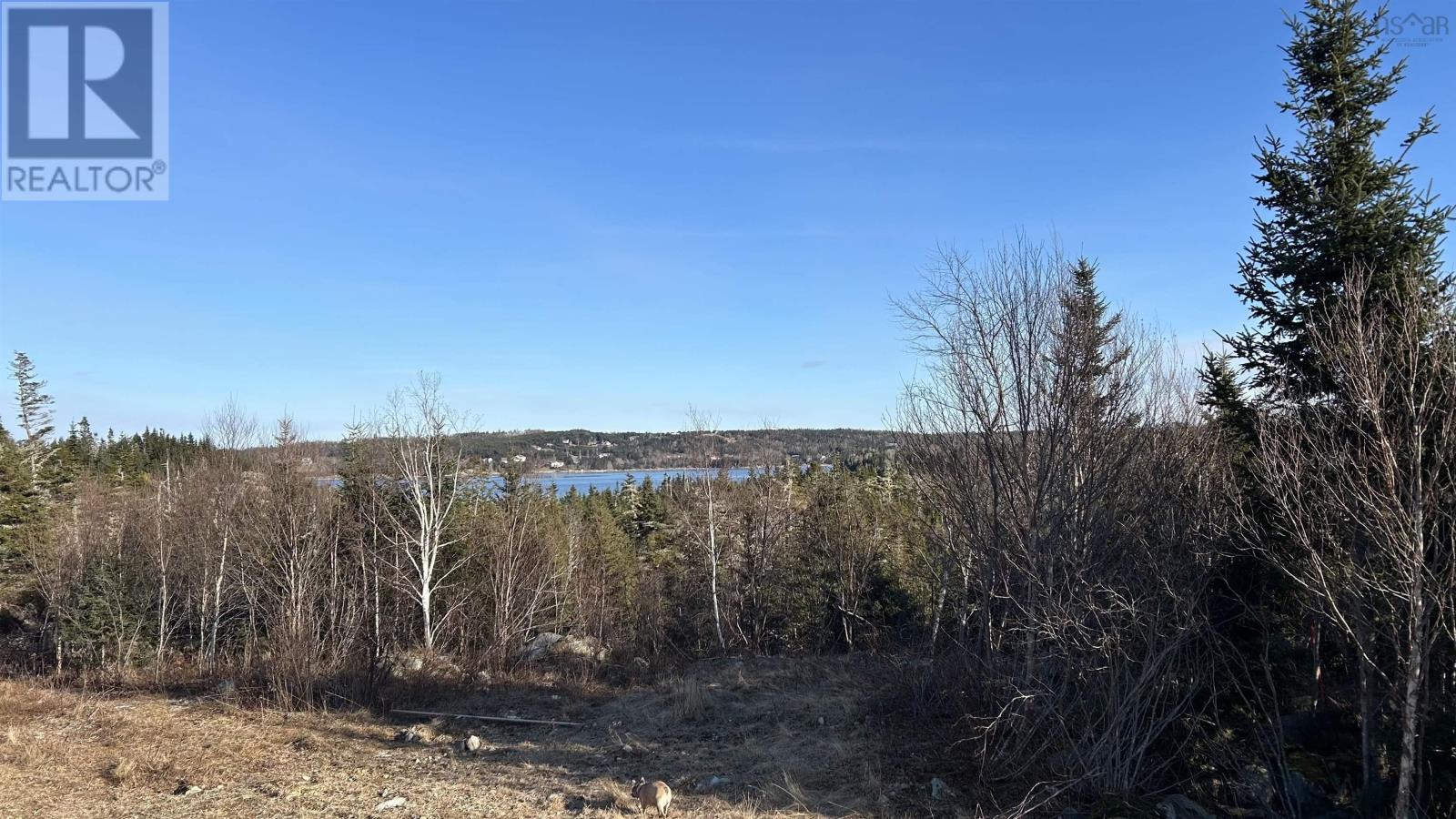 Lot 4-A West Petpeswick Road, Musquodoboit Harbour, Nova Scotia  B0J 2L0 - Photo 28 - 202501302