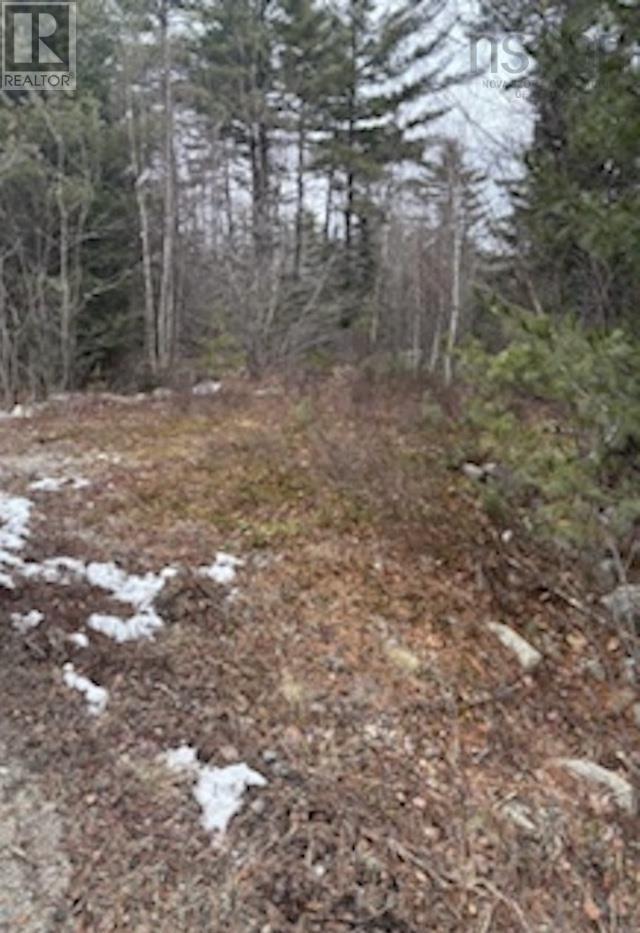 Lot Beech Hill Road, Beech Hill, Nova Scotia  B0J 2L0 - Photo 2 - 202501313