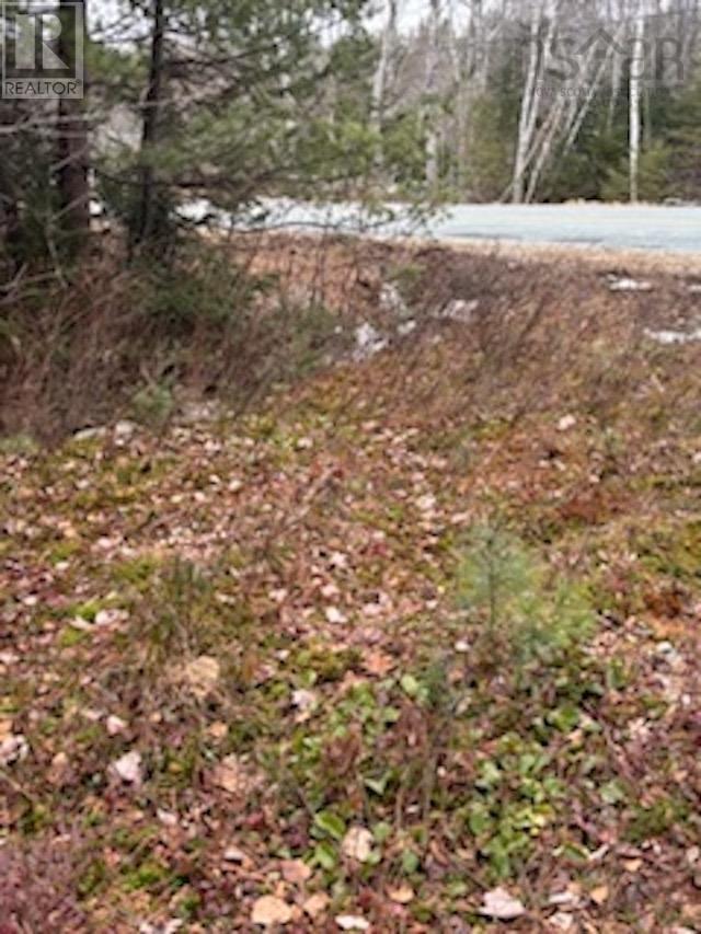 Lot Beech Hill Road, Beech Hill, Nova Scotia  B0J 2L0 - Photo 3 - 202501313